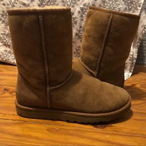 Short chestnut UGGS